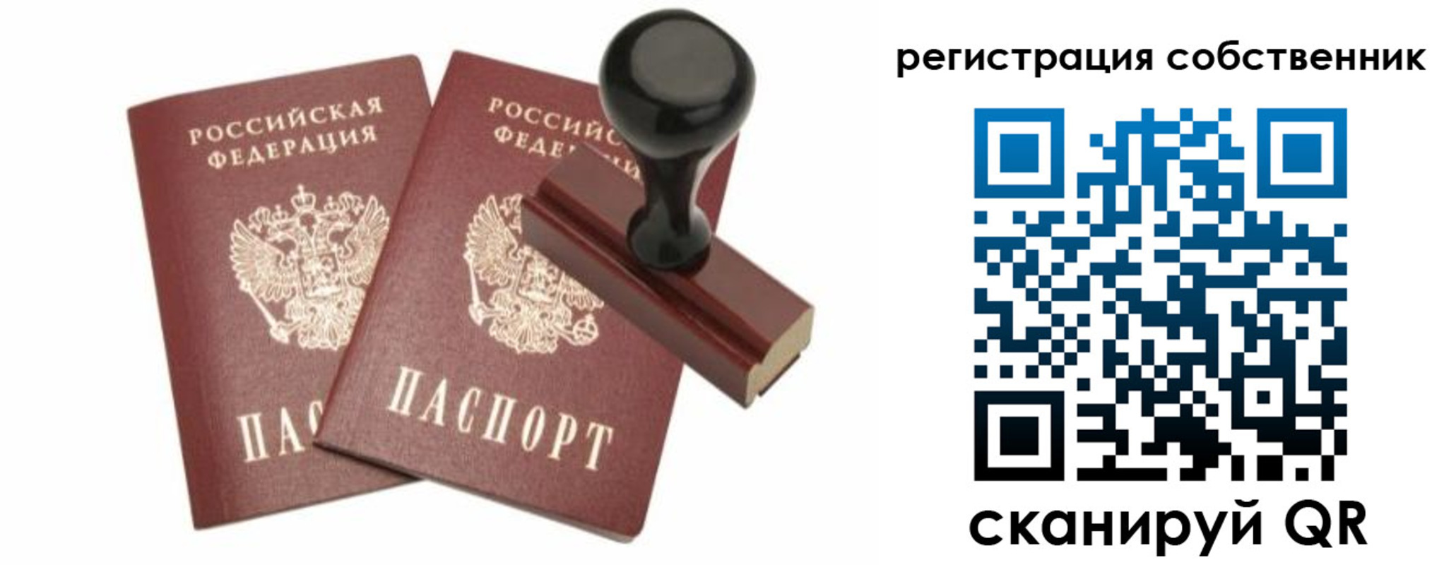 прописка паспорт в Черноголовке